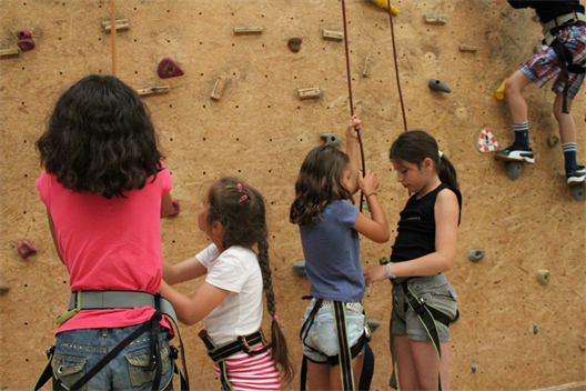 Picture show a group of climbing kids